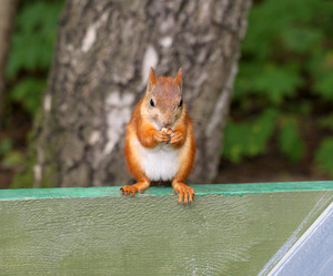 Similar image 2954752