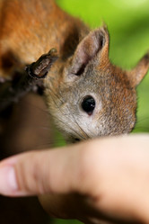 Similar image 2954753