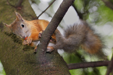 Similar image 2954754