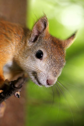 Similar image 2954755