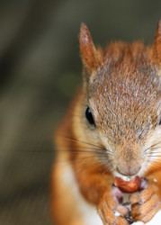 Similar image 2954756