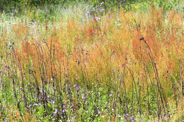 Similar image 2954760