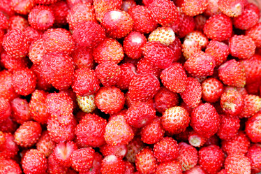 Similar image 2954764