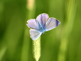 Similar image 2954765