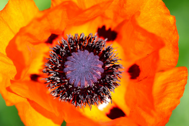 Similar image 2954773