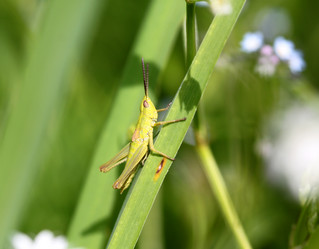 Similar image 2954779