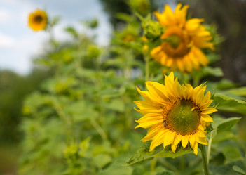 Similar image 2954800