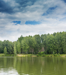 Similar image 2954899