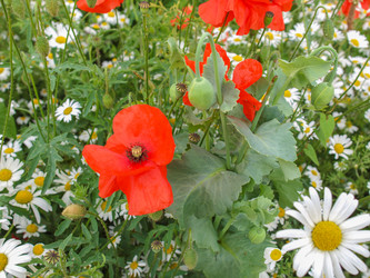 Similar image 2954977