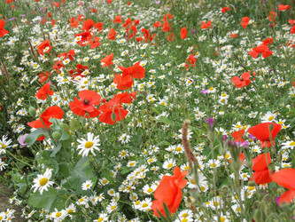 Similar image 2955064