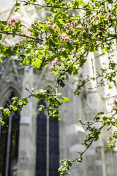 Similar image 2955091