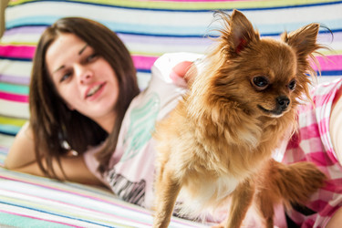 Similar image 2955119