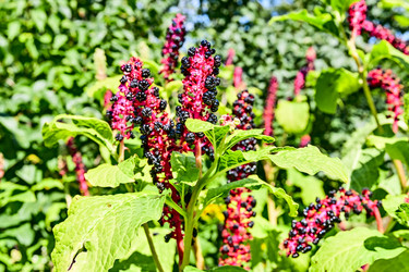 Similar image 2955244