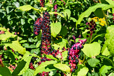 Similar image 2955245