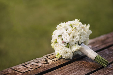 Similar image 2955353