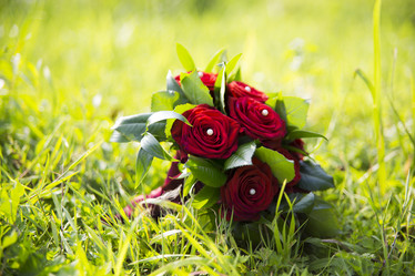 Similar image 2955354