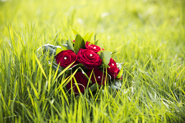 Similar image 2955359