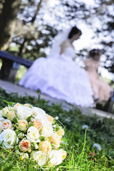 Similar image 2955360