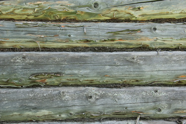 Similar image 2955569