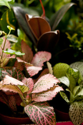 Similar image 2955936