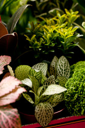 Similar image 2955937