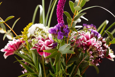 Similar image 2955938