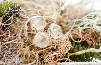 Similar image 2955940