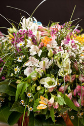 Similar image 2955942