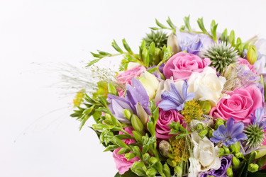 Similar image 2955952