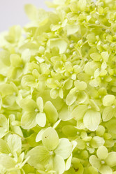 Similar image 2955953