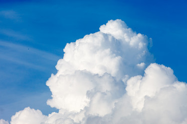 Similar image 2955958