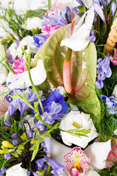 Similar image 2955959