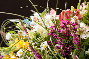 Similar image 2955962