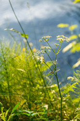 Similar image 2955963