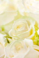 Similar image 2955964