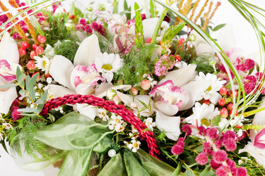 Similar image 2955978