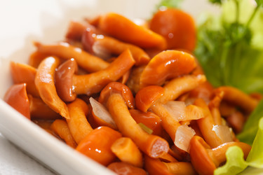 Similar image 2955995