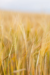 Similar image 2956029