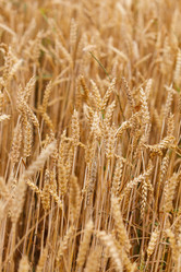 Similar image 2956030