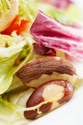 Similar image 2956036