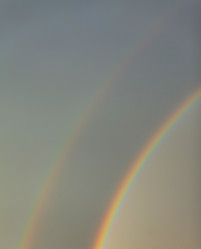 Similar image 2956046