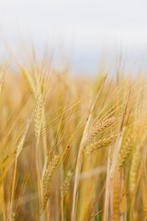 Similar image 2956126