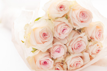 Similar image 2956130