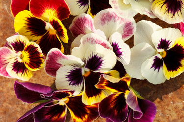 Similar image 2956148