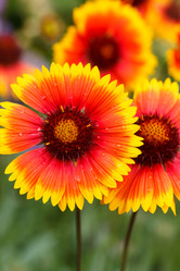 Similar image 2956149