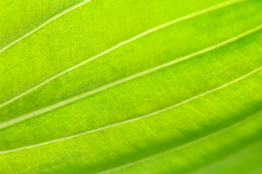 Similar image 2956152