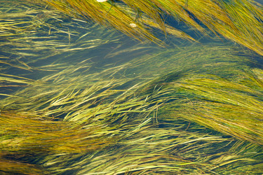 Similar image 2956163