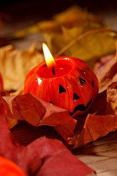 Similar image 2956169