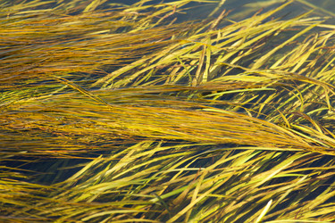 Similar image 2956175