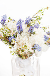 Similar image 2956201